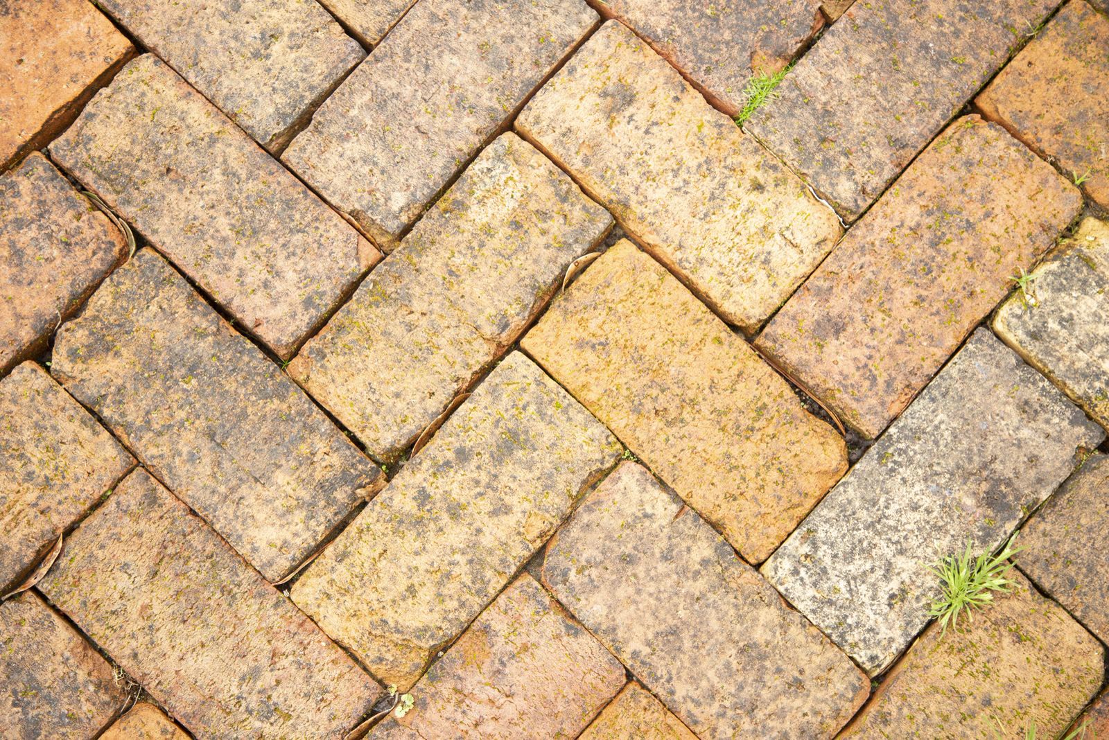 Close up of an interlocking brick pavement with a — the kind of handyman work vetted local pros handle in Sarasota, FL