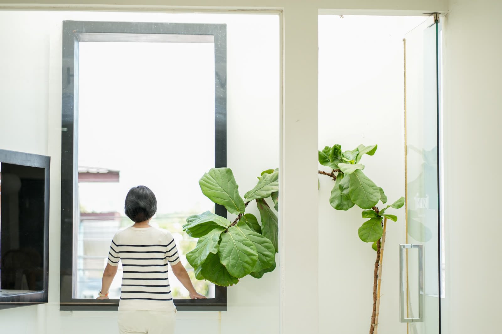 Window glass and frame check — the kind of work our vetted local pros handle in Sarasota, FL