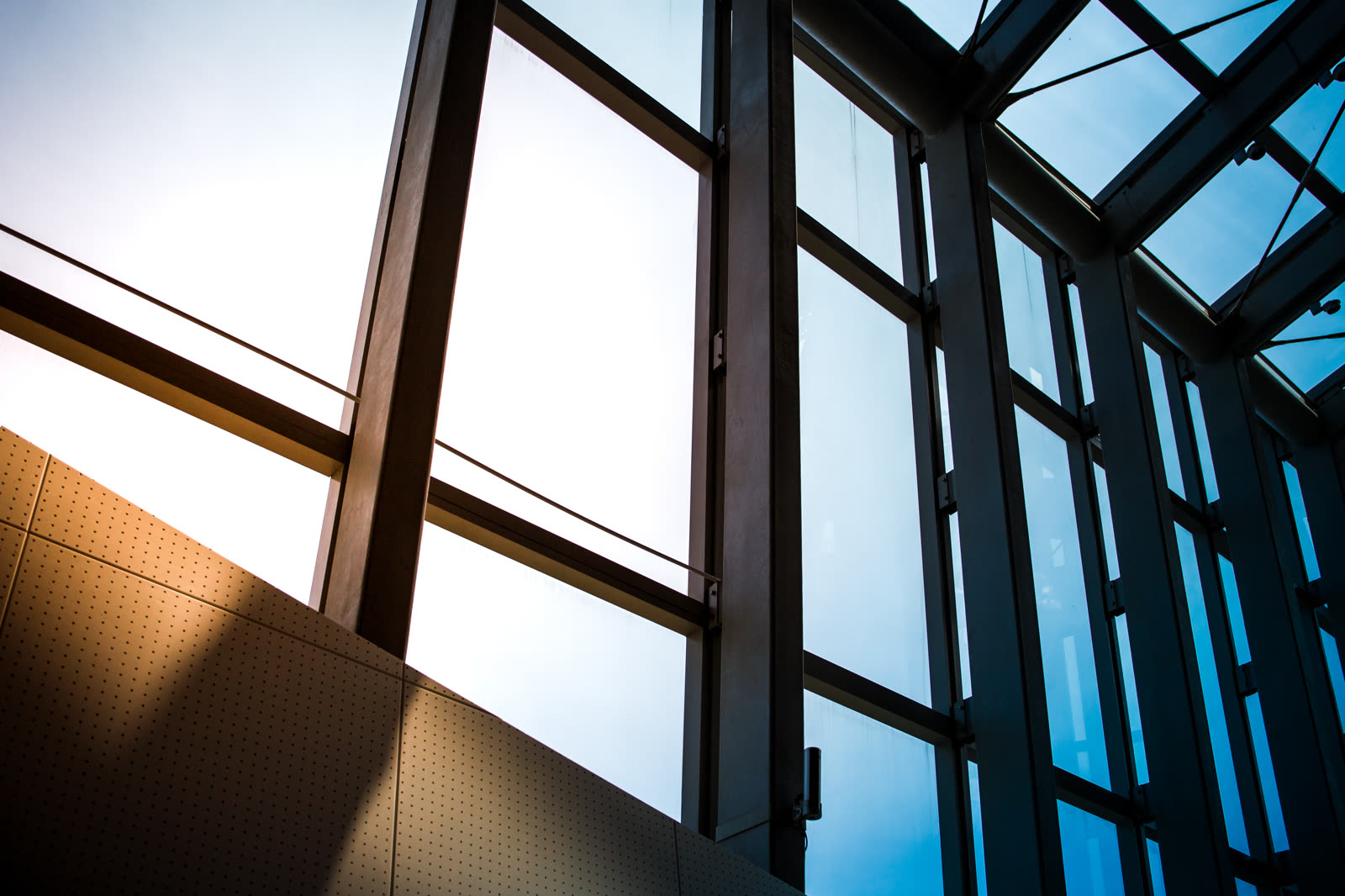 Windows of business building — the kind of handyman work vetted local pros handle in Sarasota, FL